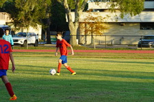 Enlarge photo 173