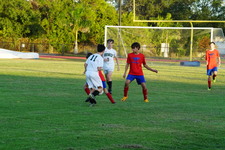 Enlarge photo 178