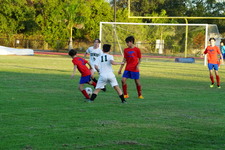 Enlarge photo 180