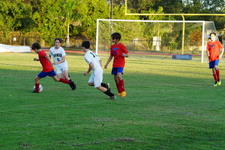 Enlarge photo 182