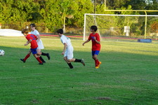 Enlarge photo 183