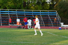 Enlarge photo 185