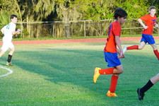 Enlarge photo 199