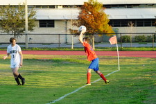 Enlarge photo 204