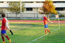 Enlarge photo 205