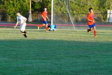 Enlarge photo 212