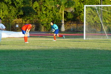 Enlarge photo 215