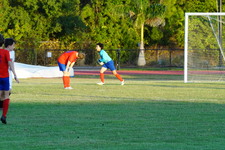 Enlarge photo 217