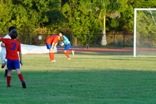 Enlarge photo 218