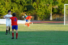 Enlarge photo 219