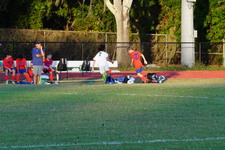 Enlarge photo 224