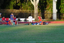 Enlarge photo 223