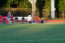 Enlarge photo 225