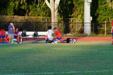 Enlarge photo 226