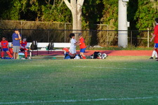 Enlarge photo 228