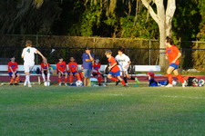 Enlarge photo 229