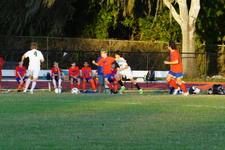 Enlarge photo 231