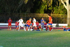 Enlarge photo 232