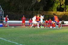 Enlarge photo 234
