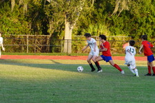 Enlarge photo 235