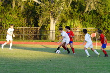Enlarge photo 236