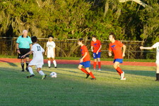 Enlarge photo 239