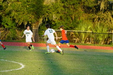 Enlarge photo 243