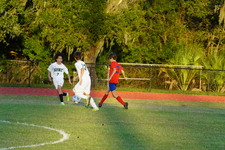 Enlarge photo 244
