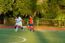 Enlarge photo 245