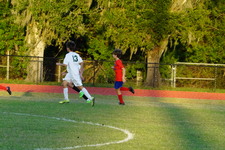 Enlarge photo 246