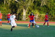 Enlarge photo 249