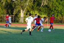 Enlarge photo 252