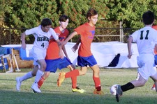 Enlarge photo 251