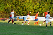 Enlarge photo 253