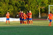 Enlarge photo 260