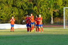 Enlarge photo 261
