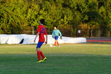 Enlarge photo 269