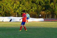 Enlarge photo 270
