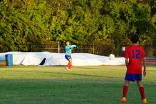 Enlarge photo 276