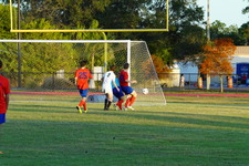 Enlarge photo 278