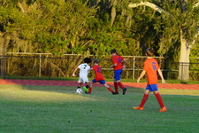 Enlarge photo 281