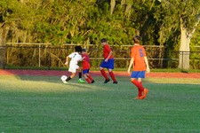 Enlarge photo 282