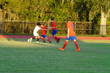Enlarge photo 283