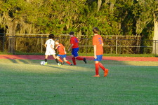 Enlarge photo 284