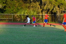 Enlarge photo 286