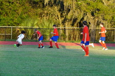 Enlarge photo 289