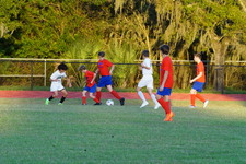 Enlarge photo 291