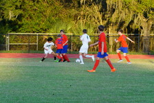 Enlarge photo 290