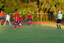 Enlarge photo 294