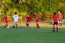 Enlarge photo 293